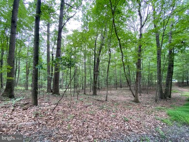 Lot 3 Independence Ln, District 1, VA 22844 - photo 4