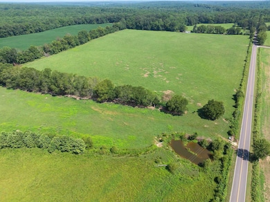 00 Cub Creek Hall Rd, Parsons, TN 38363 - photo 5