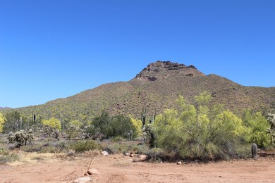 2518 N Mountain Rd, Mesa, AZ 85207 - photo 4