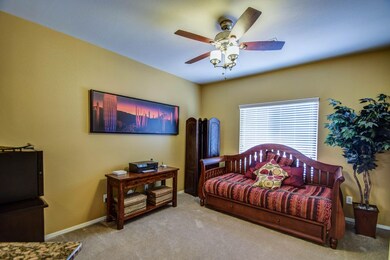den-pic 2