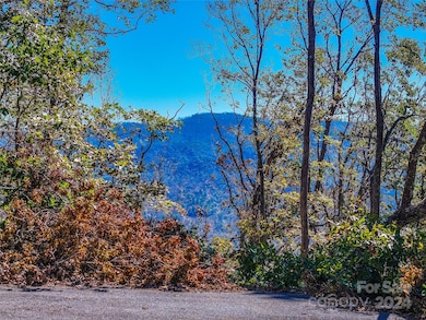 Lots 2, 135 and Pt 1 High Bluff Dr, Weaverville, NC 28787 - photo 2