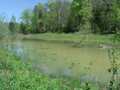fresh water pond