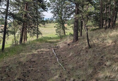 1379 S Mountain Estates Rd, Florissant, CO 80816 - photo 6
