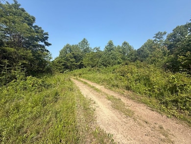 1 Sycamore Fork Rd, Salyersville, KY 41465 - photo 7