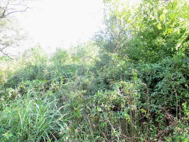 Read to clear as you want to build your dream home.