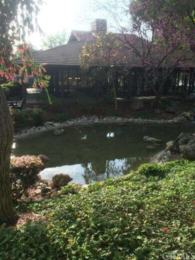 view from back patio