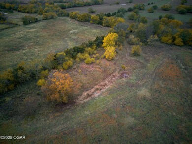 FieldinFrame [Julie 61±]00011 (1)