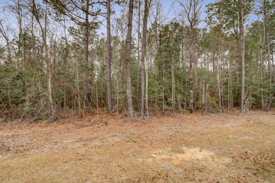 0 Alligator Ln, Andrews SC (4)