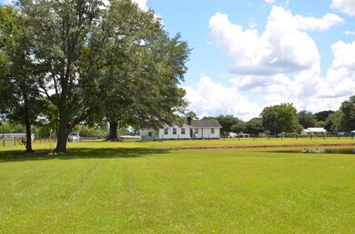 Side view from pond