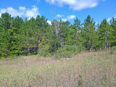 Lt2 County Highway Y, Trenton, WI 53095 - photo 3