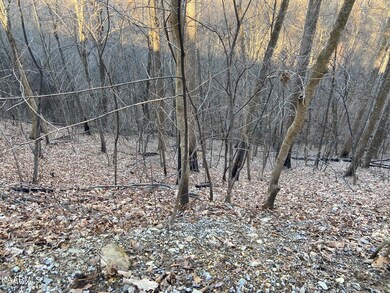 Lot 18 Sugar Maple Loop Rd