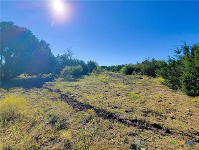 0000 County Road 3300, Kempner, TX 76539 - photo 4