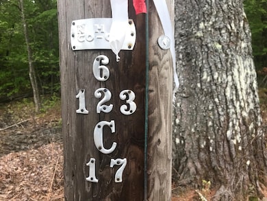Lot 3 N Wakefield Rd unit Lot 1 on tax map, Wolfeboro, NH 03894 - photo 6