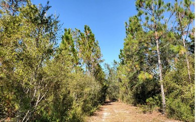 0 SW Brown Rd, Lee, FL 32059 - photo 5