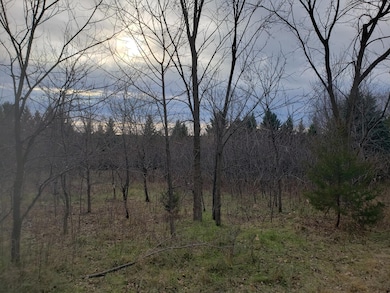 Lot 1 County Road M 202nd St, Alden Township, WI 54026 - photo 6