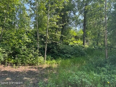 39578 S Malaspina Loop, Susitna North, AK 99676 - photo 2