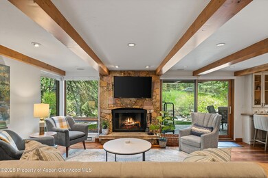 1034 E Cooper Ave unit 16A, Aspen, CO 81611 - photo 3