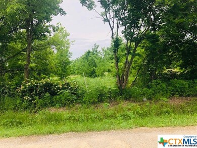 TBD 4th St, Bruceville-Eddy, TX 76524 - photo 6