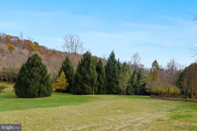 38243 Lime Kiln Rd, Middleburg, VA 20117 - photo 4