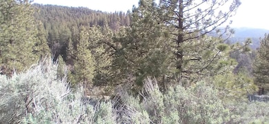 16401 Jungfrau Way Lot 9, Tehachapi, CA 93561 - photo 3