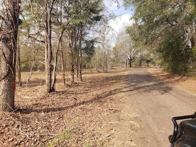 TBD Cr 1552 10 097 Ac, Long Branch, TX 75669 - photo 3