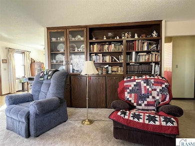 59347 County Road 17 E, Comfrey, MN 56019 - photo 7