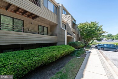 6903 Jones View Dr unit 3D, Baltimore, MD 21209 - photo 3