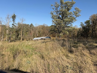 TBD 139 56ac 360th Ave, Frazee, MN 56544 - photo 6