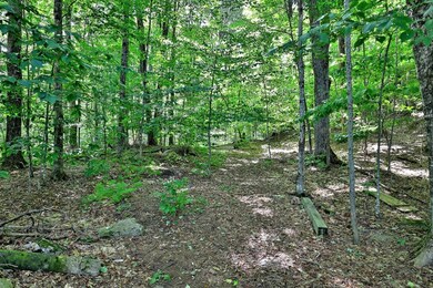 3011 A East Hill Rd, Andover, VT 05143 - photo 6