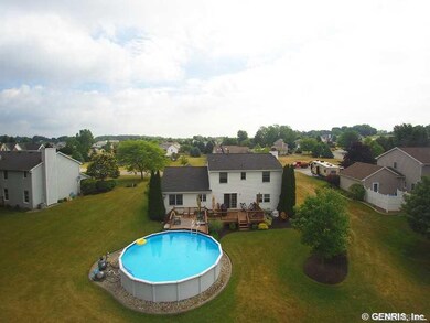 Backyard.