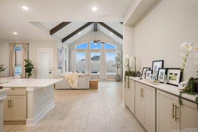 24731 Para Siempre, San Antonio, TX 78261 - photo 7