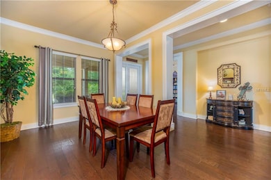 15925 Persimmon Grove Dr, Lithia, FL 33547 - photo 7