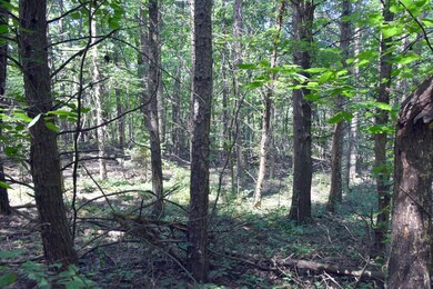 DSC_0725-001