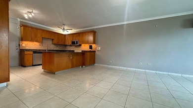 13 Palmar de Torrimar, Guaynabo, PR 00969 - photo 4