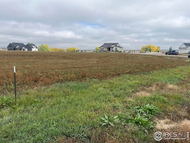 2652 Cutter Dr, Severance, CO 80546 - photo 4