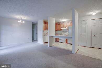 2125 Wainwright Ct unit BA, Frederick, MD 21702 - photo 6
