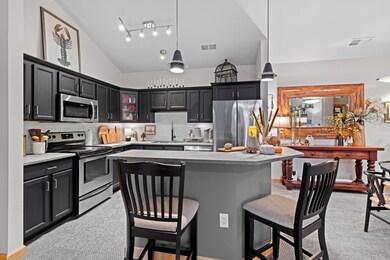 8253 Mayo Dr unit 310, Madison, WI 53719 - photo 4