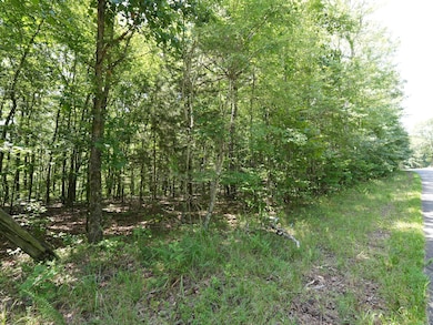 5 Tummins Rd, McEwen, TN 37101 - photo 4