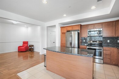 305 Egrets Landing, Carmel Hamlet, NY 10512 - photo 6