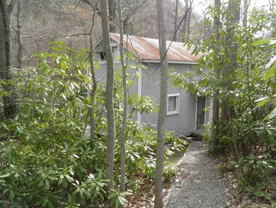 P4231905