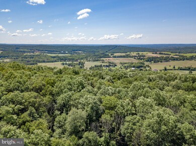 7169 Corning Rd, Zionsville, PA 18092 - photo 4