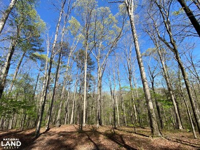 391 Co Rd 1171, Cullman, AL 35057 - photo 7