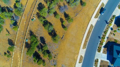 15 Salt Brush St, Durango, CO 81301 - photo 4