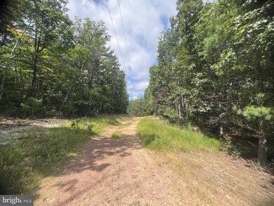 0 Supinlick Ridge Rd unit VASH2012594, Mount Jackson, VA 22842 - photo 3