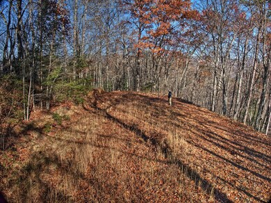 324 Little Bear Rd, Bryson City, NC 28713 - photo 3