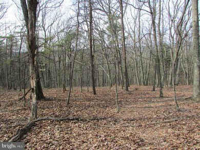 0 Cups Hollow, Sherman, WV - photo 7