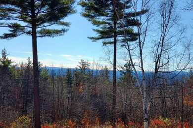 458 Hazel Hill Rd, Townshend, VT 05353 - photo 2