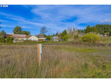 2047 Roseburg Rd, Myrtle Point, OR 97458 - photo 7