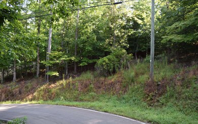 Lt907 Matrix Ln, Ellijay, GA 30540 - photo 4