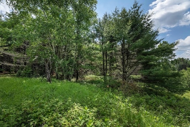 Off U S 45 unit 2, Three Lakes, WI 54562 - photo 6